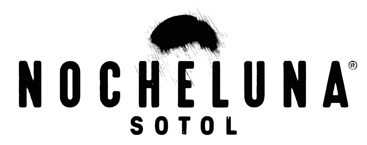 Nocheluna+Imagotipo_Black-Photoroom+(2)